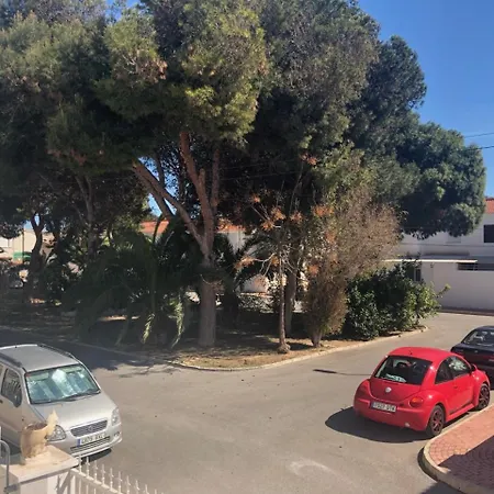 公寓 Modern In With Spacious Terrace And 250m From The